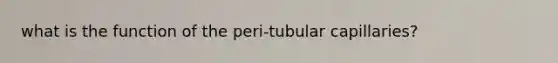 what is the function of the peri-tubular capillaries?