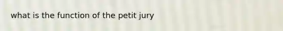 what is the function of the petit jury