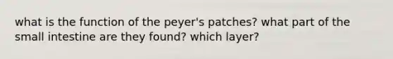 what is the function of the peyer's patches? what part of <a href='https://www.questionai.com/knowledge/kt623fh5xn-the-small-intestine' class='anchor-knowledge'>the small intestine</a> are they found? which layer?