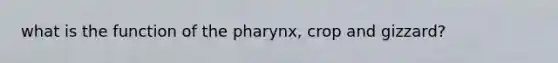 what is the function of the pharynx, crop and gizzard?