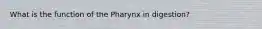 What is the function of the Pharynx in digestion?