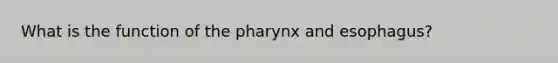 What is the function of the pharynx and esophagus?