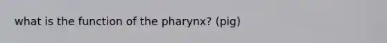 what is the function of the pharynx? (pig)