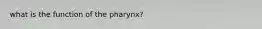 what is the function of the pharynx?