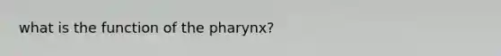 what is the function of the pharynx?