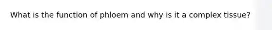 What is the function of phloem and why is it a complex tissue?