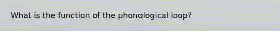 What is the function of the phonological loop?