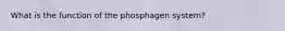 What is the function of the phosphagen system?