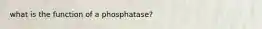 what is the function of a phosphatase?