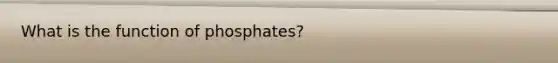 What is the function of phosphates?