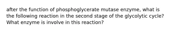 after the function of phosphoglycerate mutase enzyme, what is the following reaction in the second stage of the glycolytic cycle? What enzyme is involve in this reaction?