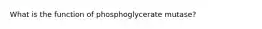 What is the function of phosphoglycerate mutase?