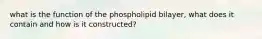 what is the function of the phospholipid bilayer, what does it contain and how is it constructed?