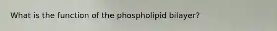 What is the function of the phospholipid bilayer?