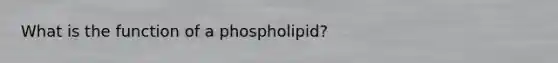 What is the function of a phospholipid?