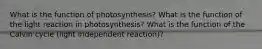 What is the function of photosynthesis? What is the function of the light reaction in photosynthesis? What is the function of the Calvin cycle (light independent reaction)?