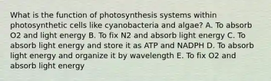 What is the function of photosynthesis systems within photosynthetic cells like cyanobacteria and algae? A. To absorb O2 and light energy B. To fix N2 and absorb light energy C. To absorb light energy and store it as ATP and NADPH D. To absorb light energy and organize it by wavelength E. To fix O2 and absorb light energy