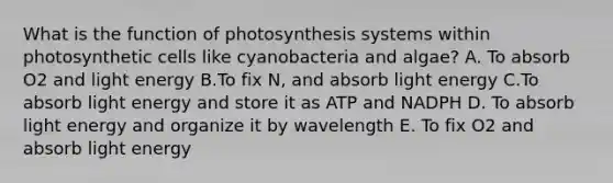 What is the function of photosynthesis systems within photosynthetic cells like cyanobacteria and algae? A. To absorb O2 and light energy B.To fix N, and absorb light energy C.To absorb light energy and store it as ATP and NADPH D. To absorb light energy and organize it by wavelength E. To fix O2 and absorb light energy