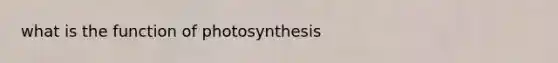 what is the function of photosynthesis