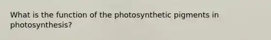 What is the function of the photosynthetic pigments in photosynthesis?