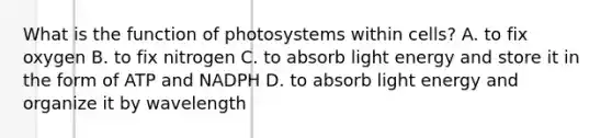 What is the function of photosystems within cells? A. to fix oxygen B. to fix nitrogen C. to absorb light energy and store it in the form of ATP and NADPH D. to absorb light energy and organize it by wavelength