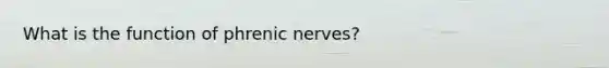 What is the function of phrenic nerves?