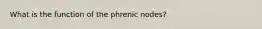 What is the function of the phrenic nodes?