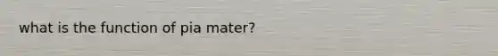 what is the function of pia mater?