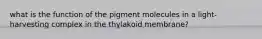 what is the function of the pigment molecules in a light-harvesting complex in the thylakoid membrane?