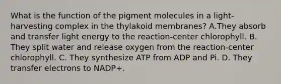 What is the function of the pigment molecules in a light-harvesting complex in the thylakoid membranes? A.They absorb and transfer light energy to the reaction-center chlorophyll. B. They split water and release oxygen from the reaction-center chlorophyll. C. They synthesize ATP from ADP and Pi. D. They transfer electrons to NADP+.