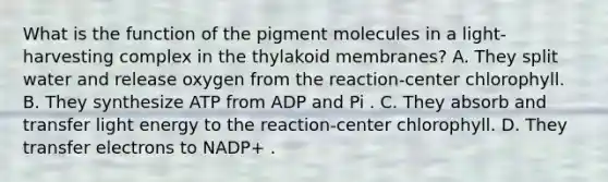 What is the function of the pigment molecules in a light-harvesting complex in the thylakoid membranes? A. They split water and release oxygen from the reaction-center chlorophyll. B. They synthesize ATP from ADP and Pi . C. They absorb and transfer light energy to the reaction-center chlorophyll. D. They transfer electrons to NADP+ .