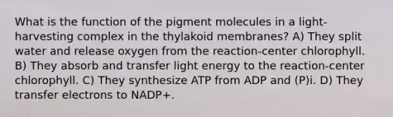 What is the function of the pigment molecules in a light-harvesting complex in the thylakoid membranes? A) They split water and release oxygen from the reaction-center chlorophyll. B) They absorb and transfer light energy to the reaction-center chlorophyll. C) They synthesize ATP from ADP and (P)i. D) They transfer electrons to NADP+.