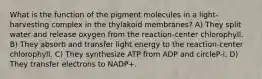 What is the function of the pigment molecules in a light-harvesting complex in the thylakoid membranes? A) They split water and release oxygen from the reaction-center chlorophyll. B) They absorb and transfer light energy to the reaction-center chlorophyll. C) They synthesize ATP from ADP and circleP-i. D) They transfer electrons to NADP+.