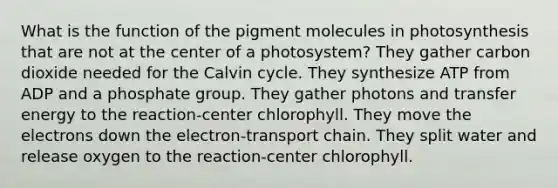 What is the function of the pigment molecules in photosynthesis that are not at the center of a photosystem? They gather carbon dioxide needed for the Calvin cycle. They synthesize ATP from ADP and a phosphate group. They gather photons and transfer energy to the reaction-center chlorophyll. They move the electrons down the electron-transport chain. They split water and release oxygen to the reaction-center chlorophyll.