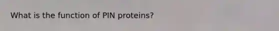 What is the function of PIN proteins?