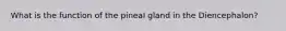 What is the function of the pineal gland in the Diencephalon?