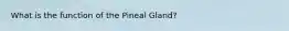 What is the function of the Pineal Gland?