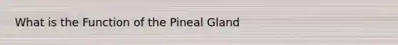 What is the Function of the Pineal Gland