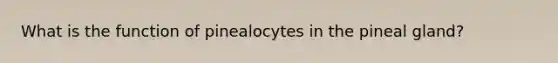 What is the function of pinealocytes in the pineal gland?