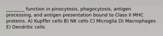 ________ function in pinocytosis, phagocytosis, antigen processing, and antigen presentation bound to Class II MHC proteins. A) Kupffer cells B) NK cells C) Microglia D) Macrophages E) Dendritic cells