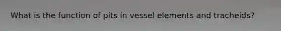 What is the function of pits in vessel elements and tracheids?