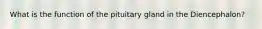 What is the function of the pituitary gland in the Diencephalon?