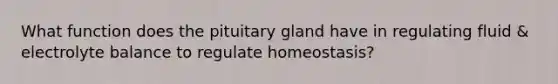 What function does the pituitary gland have in regulating fluid & electrolyte balance to regulate homeostasis?