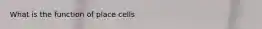 What is the function of place cells