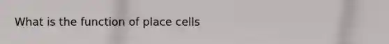 What is the function of place cells