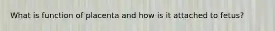 What is function of placenta and how is it attached to fetus?