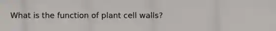 What is the function of plant cell walls?