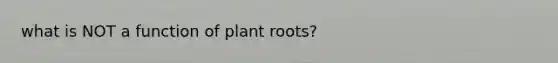 what is NOT a function of plant roots?