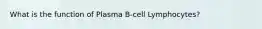 What is the function of Plasma B-cell Lymphocytes?