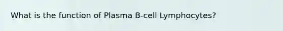 What is the function of Plasma B-cell Lymphocytes?